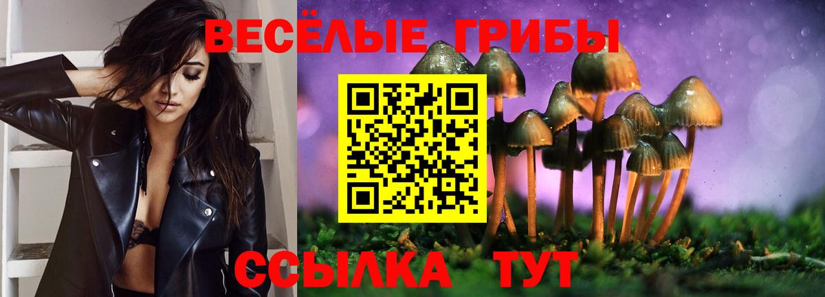 Галлюциногенные грибы прущие грибы Ахтубинск